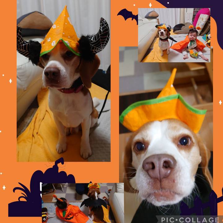 F520a538 4322 4406 9646 5b34cf8995cc 1667213123931