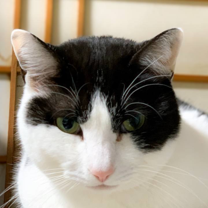 F520b08e 1dae 4dee bfa0 bf453dd950d4 1585966440413