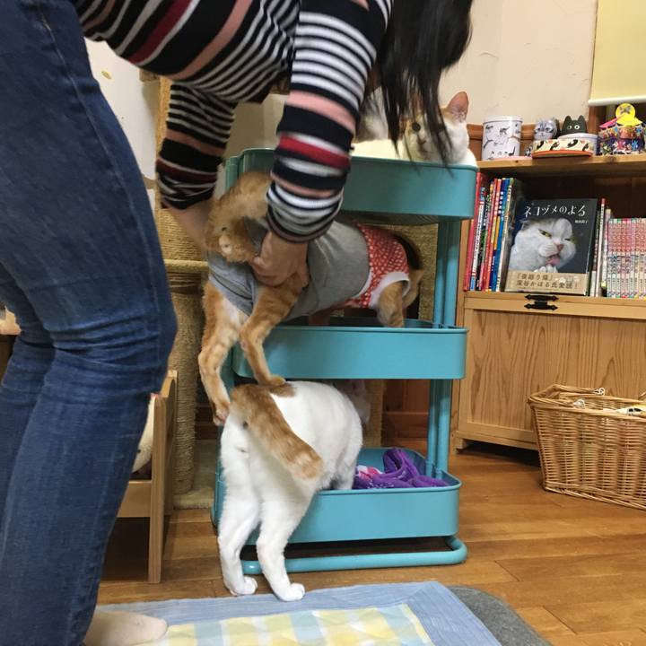 F520d00a b448 447e b8ac 24db37e0c39e 1525952458733