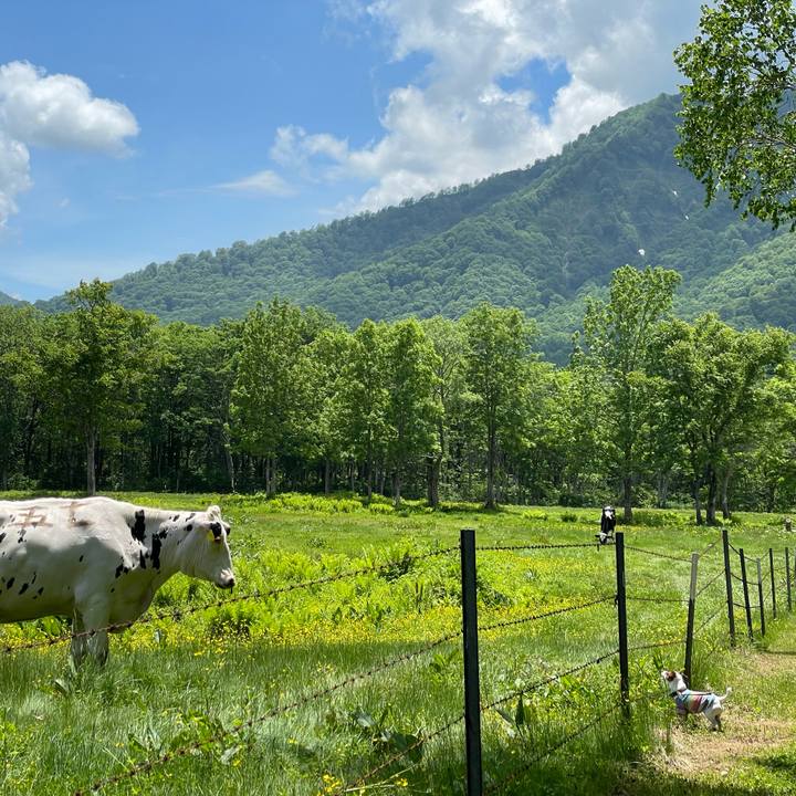 F52138da 4183 45e6 a800 6fb722ba48d9 1655881642108