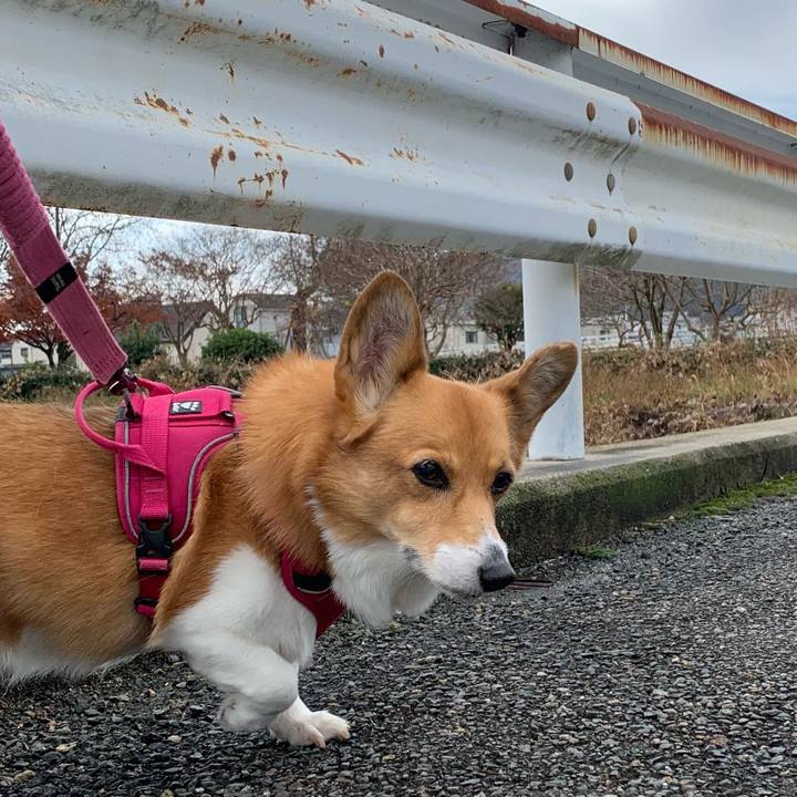 F52146cf a79c 45bf bd67 fd224caebe3a 1702350878072