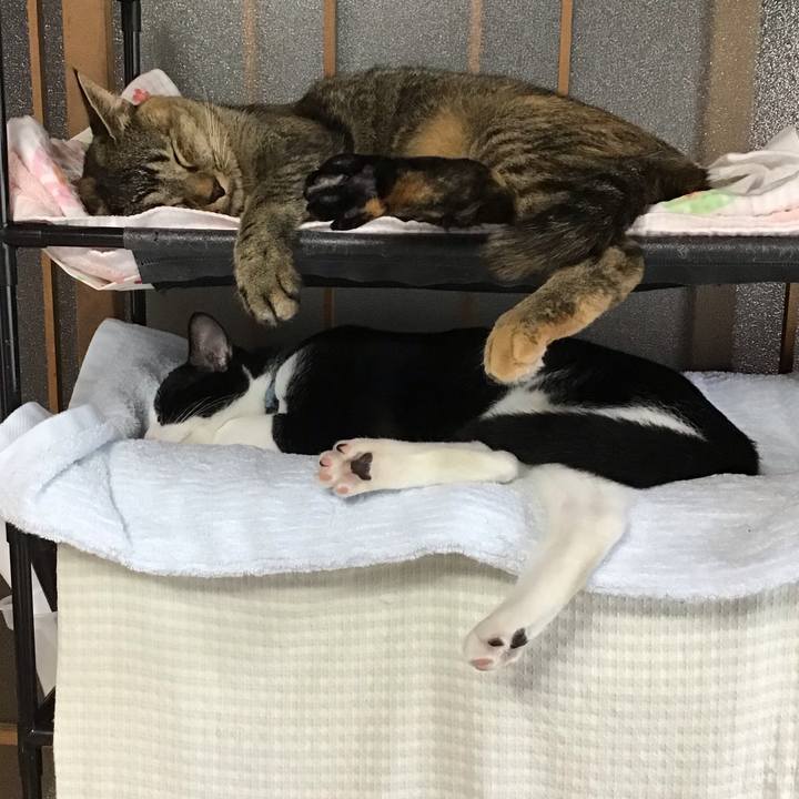 F5218971 6f96 480a be93 f5fb5d76ac84 1631926290152