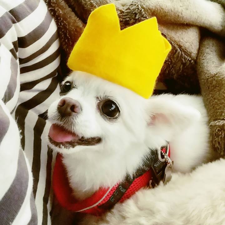 F521b964 e00f 441b 86b9 ec71b31f6b07 1622060198440