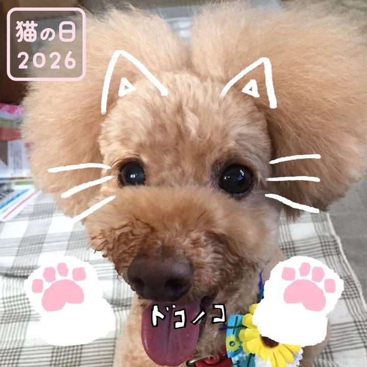 F521bcd6 6e4b 4f26 871e 7cb927d68129 1771718840162