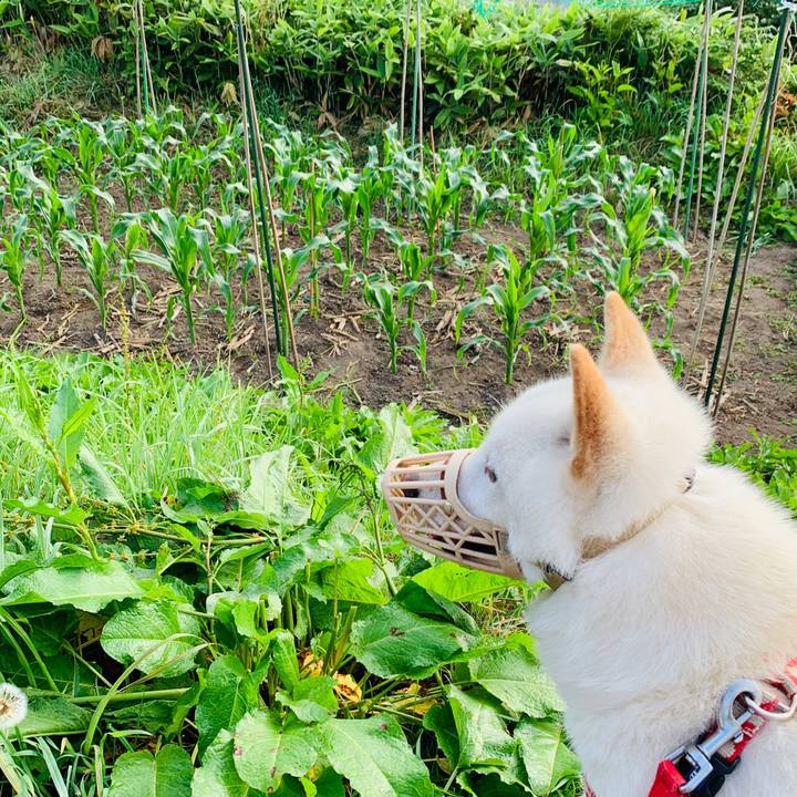 F521eecc 5bc5 4096 8bb8 66c499c4e2cc 1562449239230