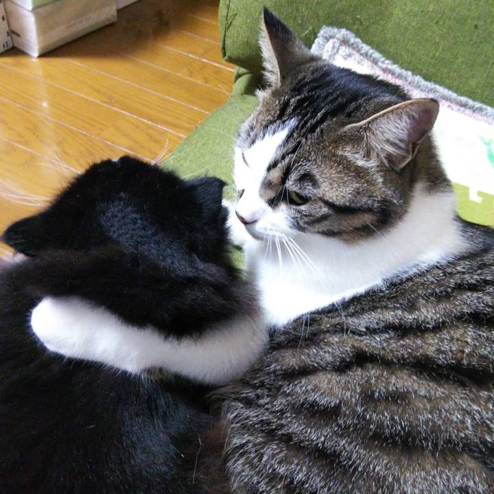 F5220511 ffc0 4490 8b15 738b77c0ab92 1654003611498