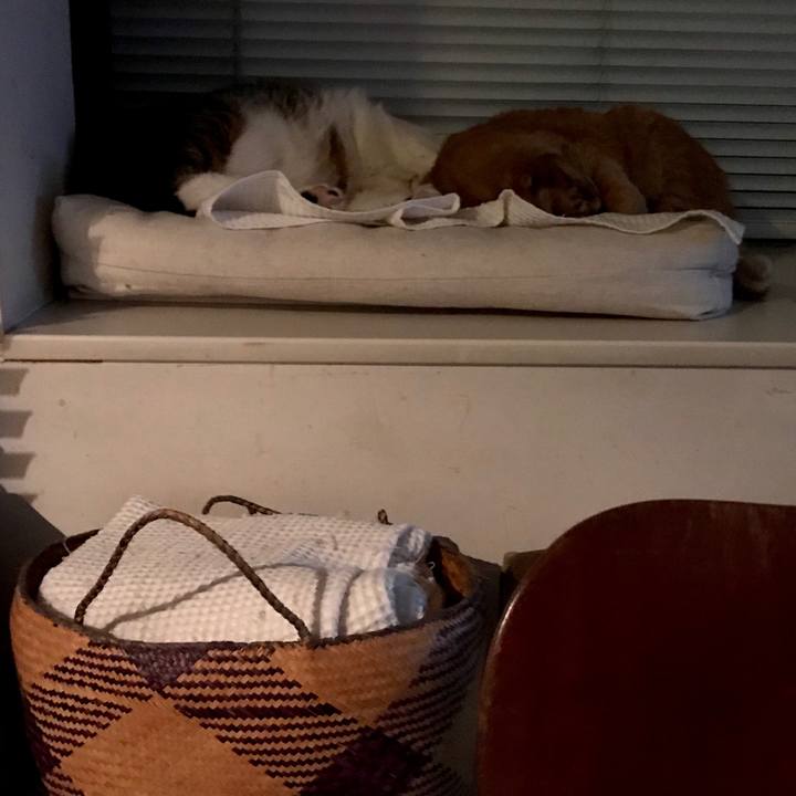 F52215da 21c5 4e78 acb5 dc3dbc2d941b 1586066529261