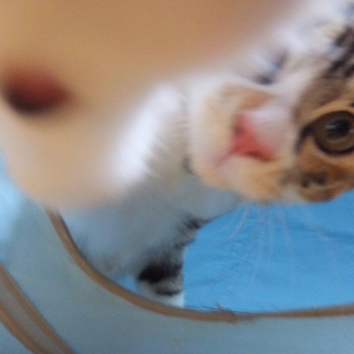 F5222def 4471 4c19 badb 52afb43c5b39 1631756944303