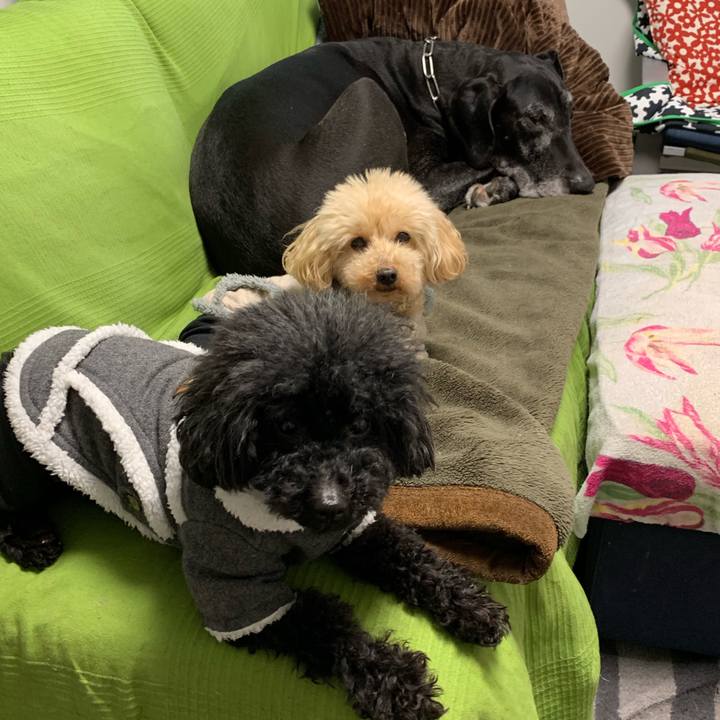 F52255ad e4e0 4c83 abf1 0c4ba31298de 1551393586431