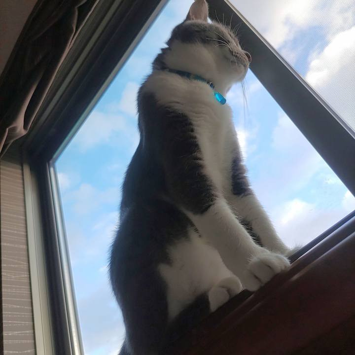 F5225cd2 63df 40bb b2c1 e2c3a0e120be 1664576244678