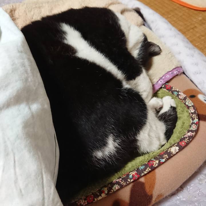 F5227049 c7c9 41a9 85af e60704d38118 1604634772688