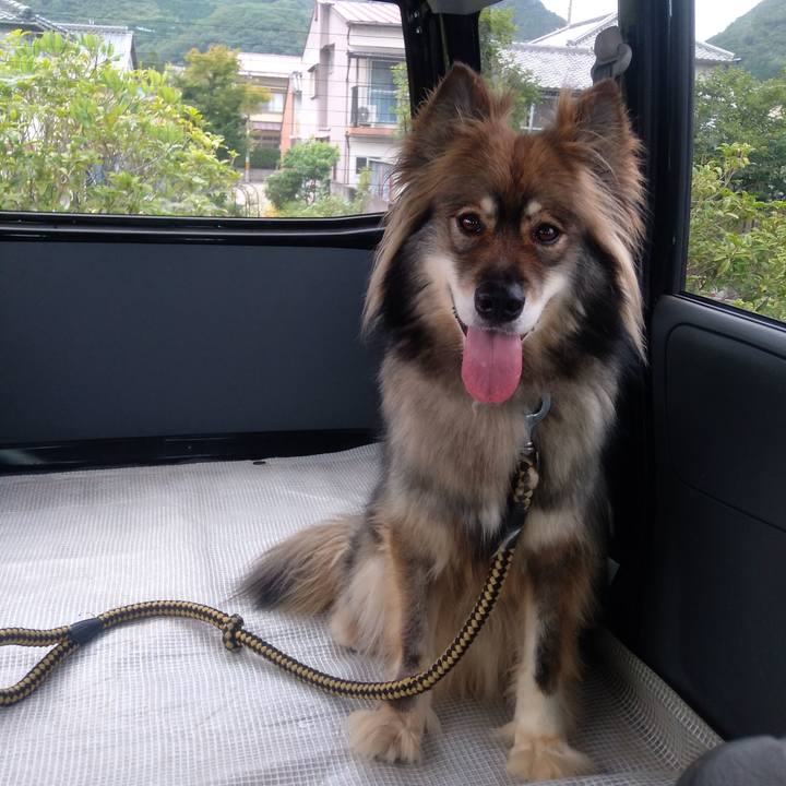 F5227fd5 5190 4ab5 b432 b8c0e22203fc 1595418978467