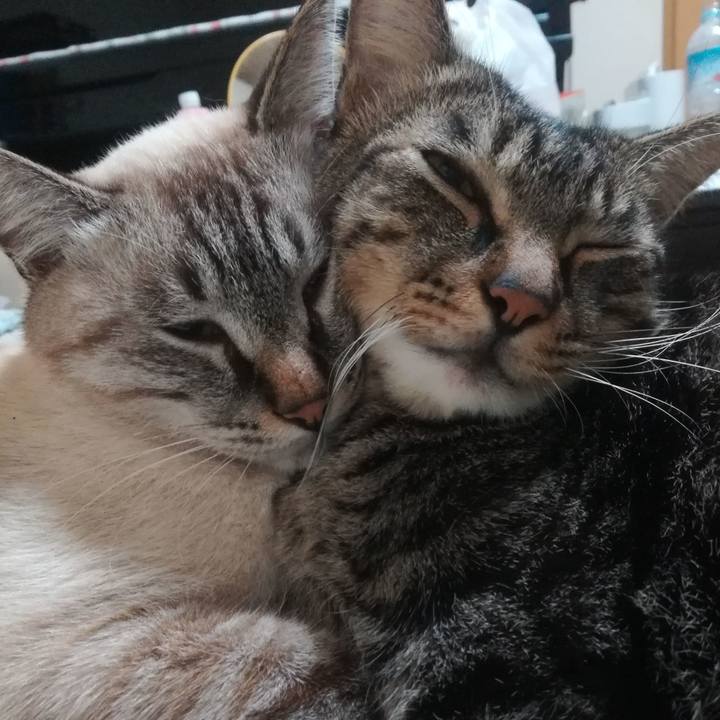 F52293be 6287 4fe7 ab69 670b84e39741 1538305575442