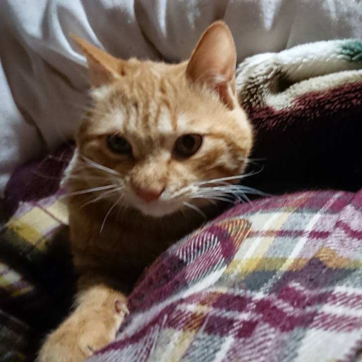 F522a8b8 5b47 4576 a0e8 84c4a0986648 1642108456611