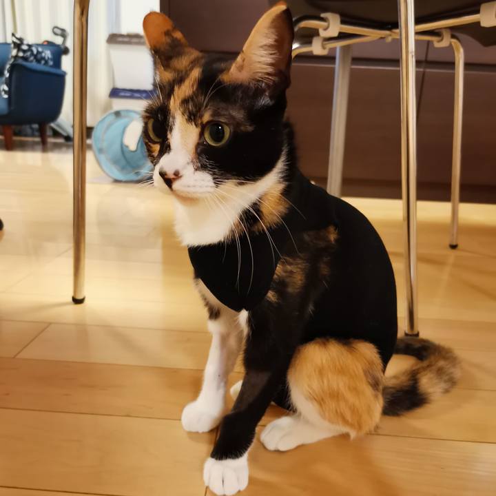 F52318d2 e788 4b4a 965f 97d1f5776b30 1602129483817