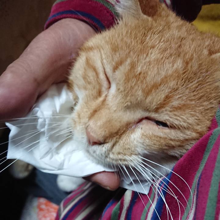 F523274b f5c3 4efc 8d07 5dea7e7e3ceb 1572381738258