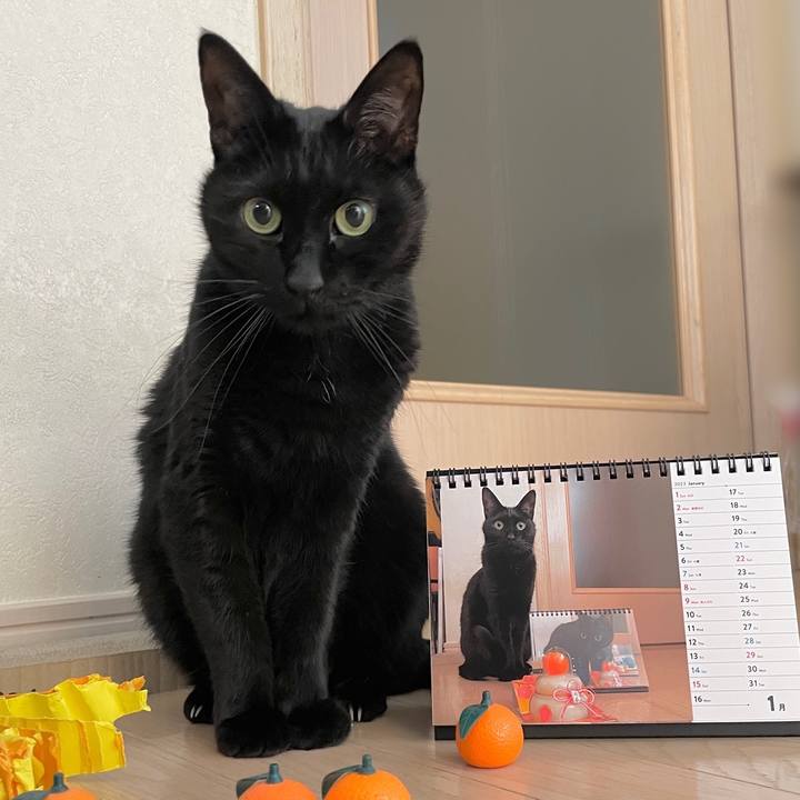 F5234a79 8407 4df2 abb2 c2857fee3c67 1672528851466