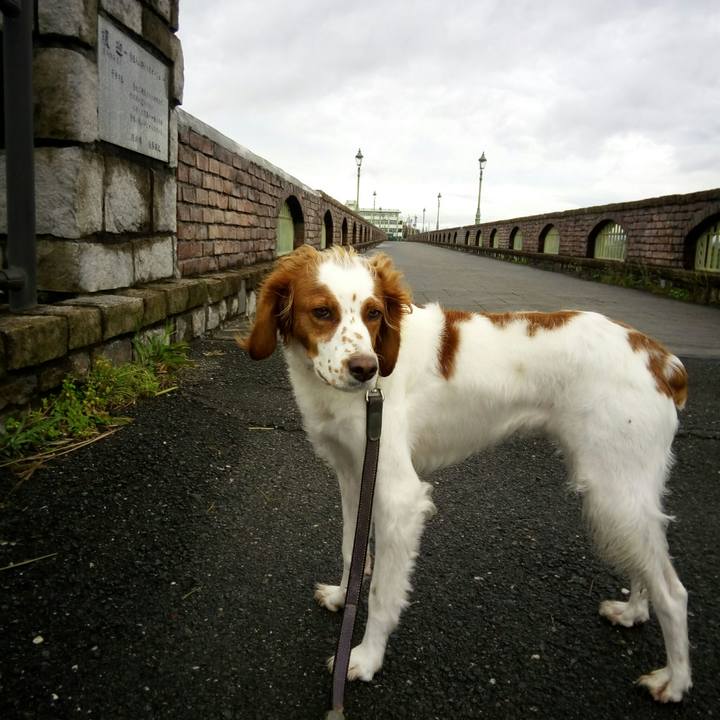 F5234bbe 9bac 4817 bbaa 15cbd0a5156c 1509239655358