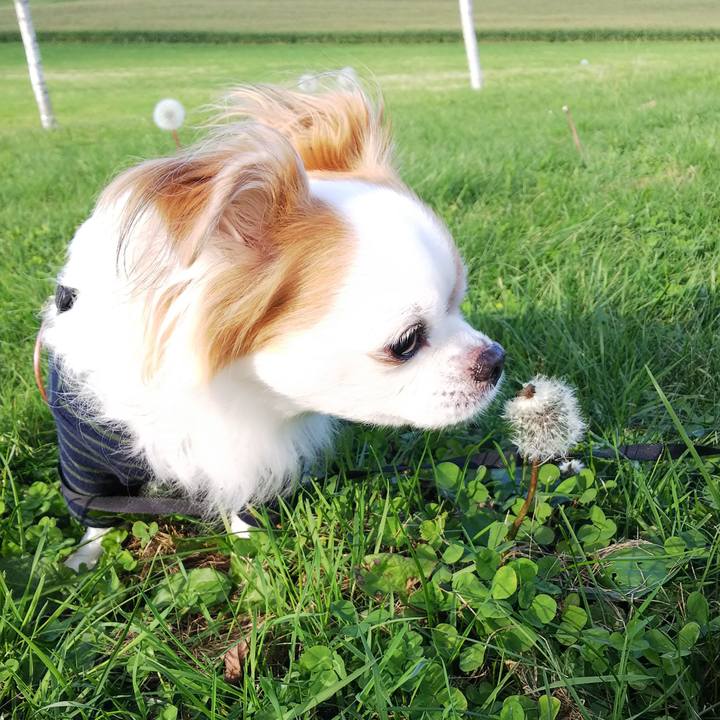 F5234e7f bc37 468b bb52 e2035560651d 1773716961429