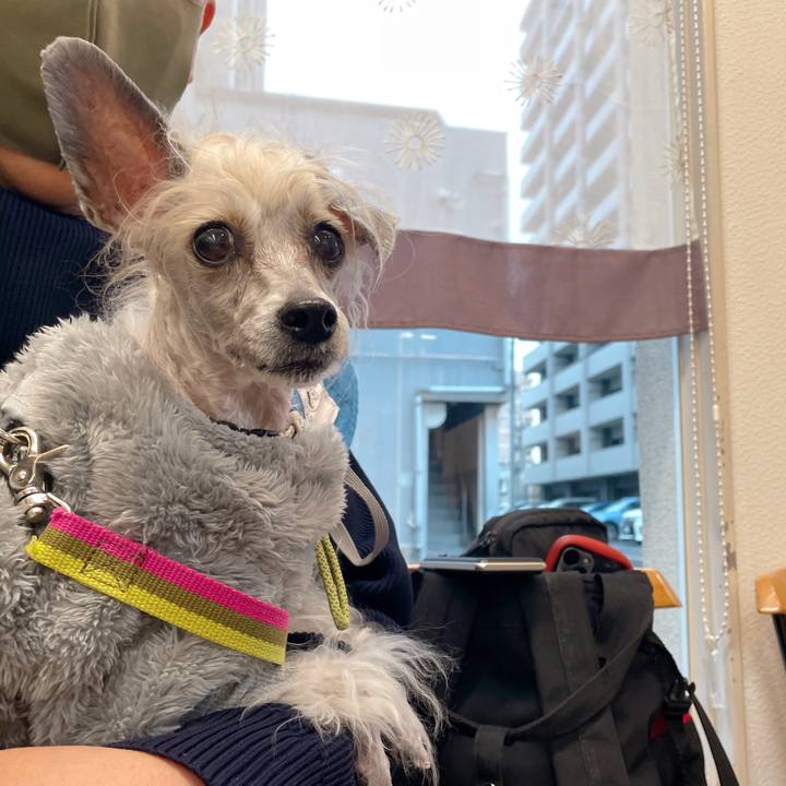 F5237332 a976 4ff9 866e 49f76ea383bb 1766583676734