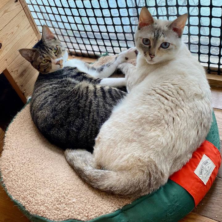 F523b8d4 1184 4a6a 8083 856d493fe268 1684543927103