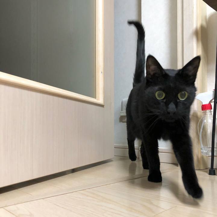 F523d6bc 0249 4c93 a74a 1f86ff825573 1620480733571