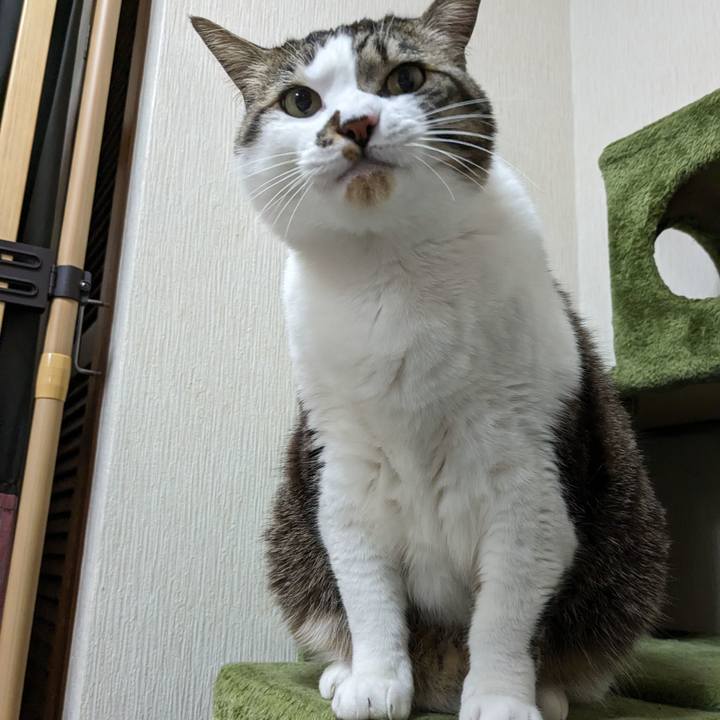 F523e0b1 e752 4592 8ce7 0b1822e1d949 1710231256136