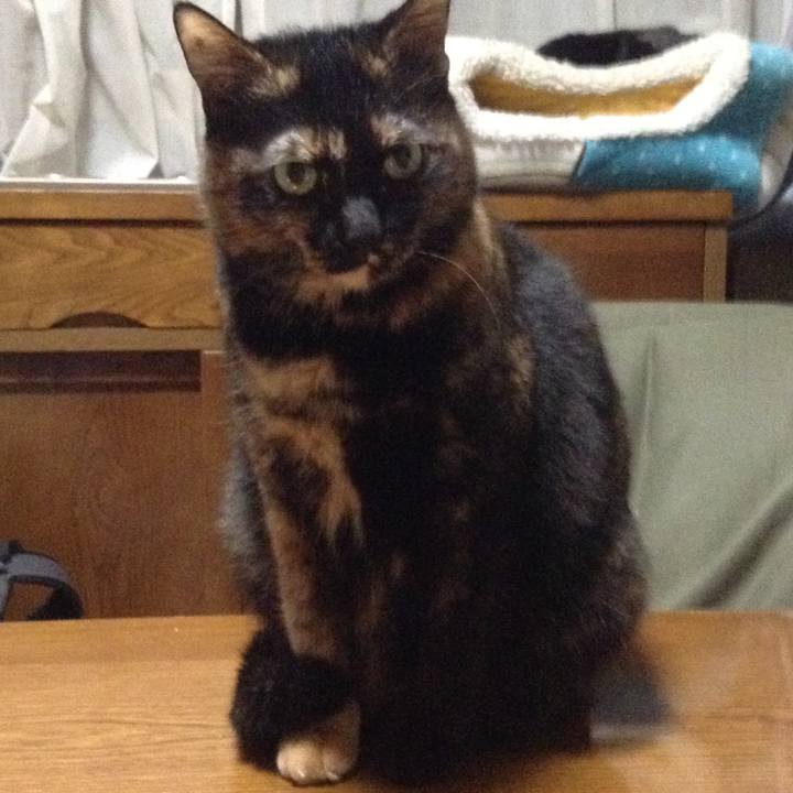 F523f52b 4c58 4319 9ac4 9a21c2212c2e 1514208786977