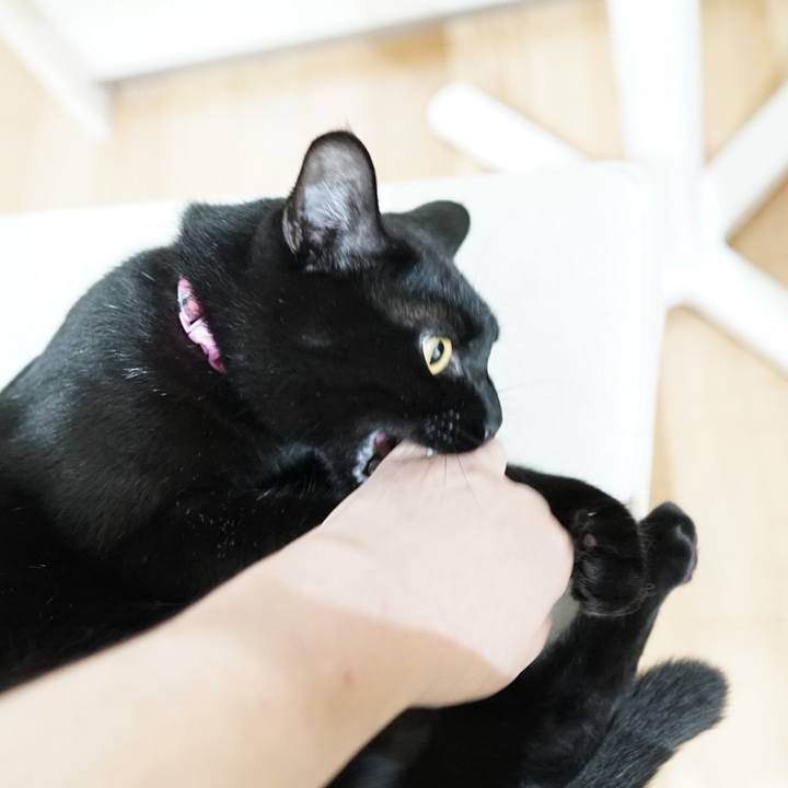 F5241d7c e922 4915 99b9 1ffb6f73b1eb 1559879518301