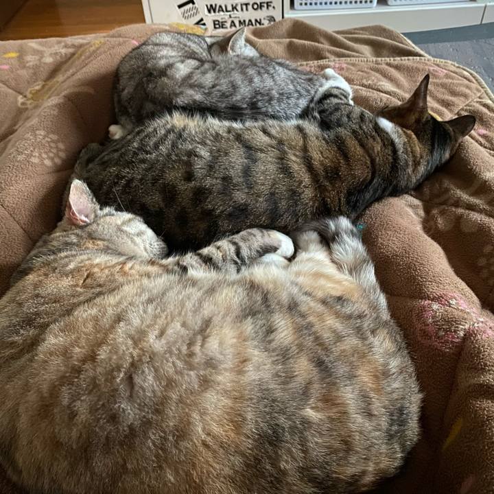 F5241eff 0d4c 45db b618 6a171f1d3b75 1652231876178