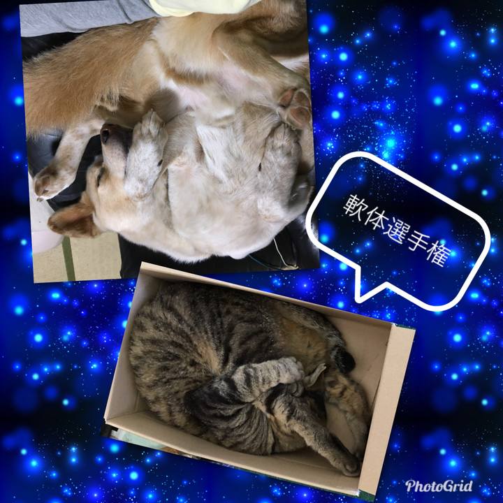 F5242ef5 bfdc 442f 80be 7f47de0a6118 1528957357474