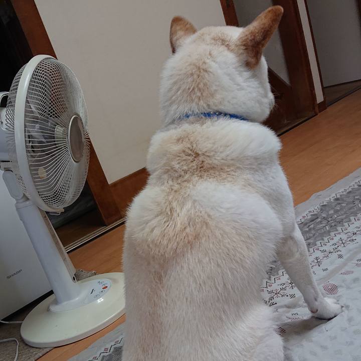 F524345a ef74 448c 964f 8db0f32fbd88 1563700744398