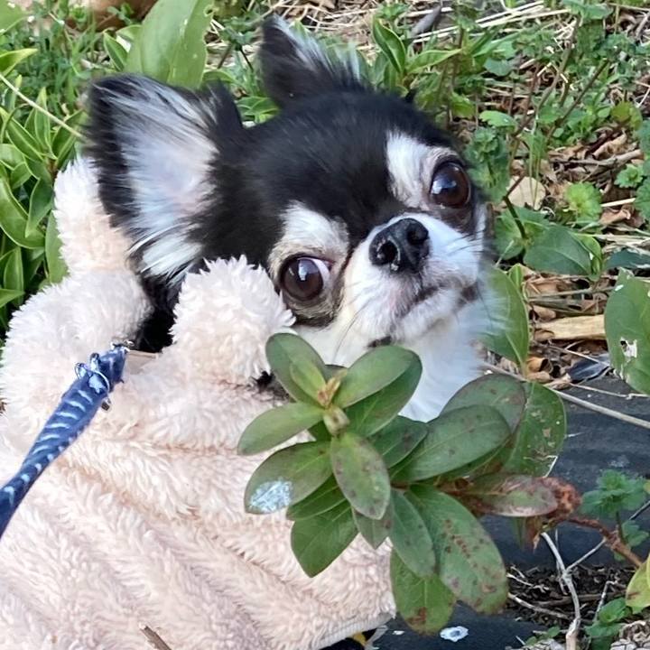 F5246301 8ef8 4aaf 952f 49f650bbfa23 1646834365510