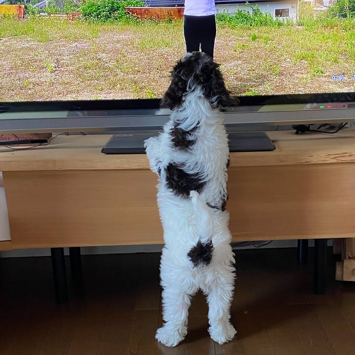 F5246353 ef15 4f59 8505 9dd02fc1dc5c 1608161339577