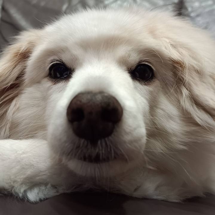 F524864b 8b7c 468d 9e12 dc403347102a 1709160989788