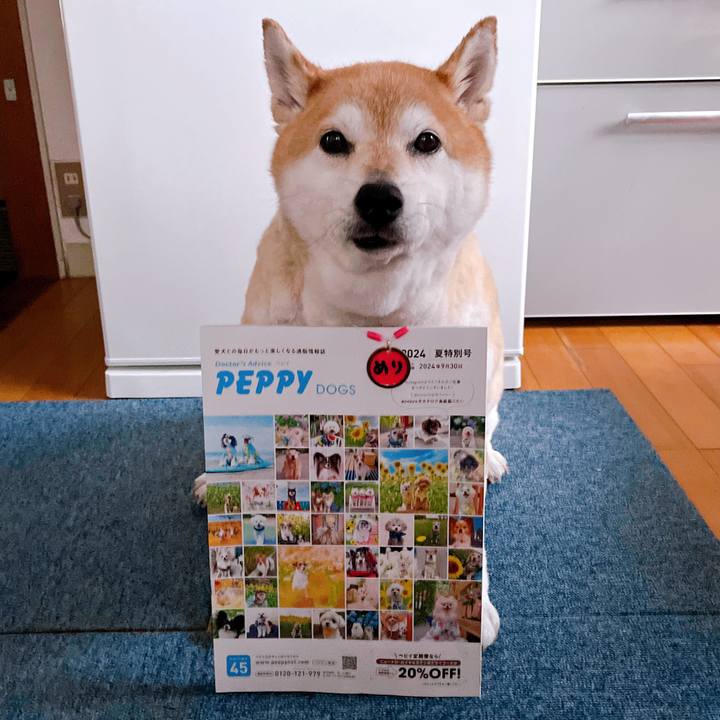 F5249a52 d5d0 4a9f 85e9 c56ced0327d6 1714546164942