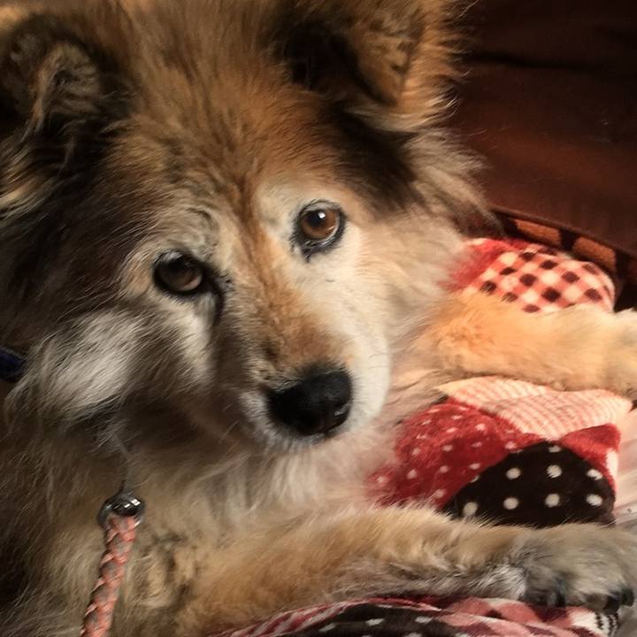 F5249c3e 1c95 4c41 b05a bbf2e33e1b7a 1623641346207