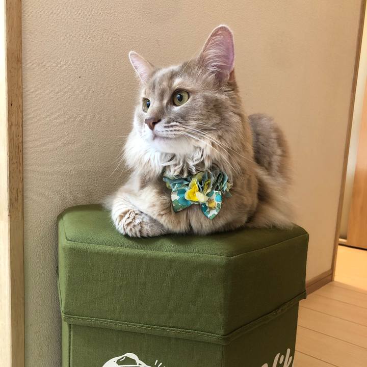 F524c38a 6ecd 4266 be58 17ac4bd09ab2 1662256005428