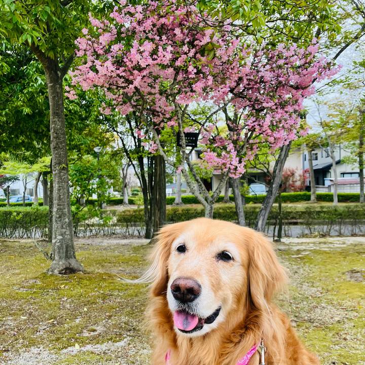 F524c5fc 93b2 4b8b be89 0c9586739959 1776264530560