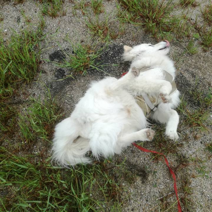 F524e1a4 b8a0 43d3 ba3e 2b007d41dc26 1524615801544