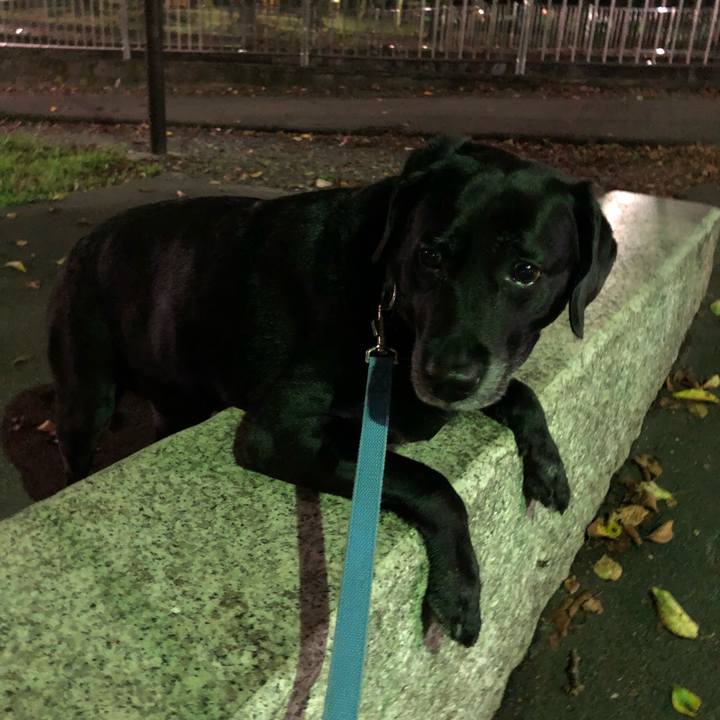 F524f7f0 54ba 4965 bf11 5988bfed0057 1539256352338