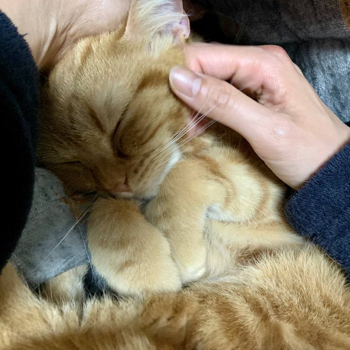 F52552ab efce 4a30 b6d9 4972e3ecec6c 1581076299974