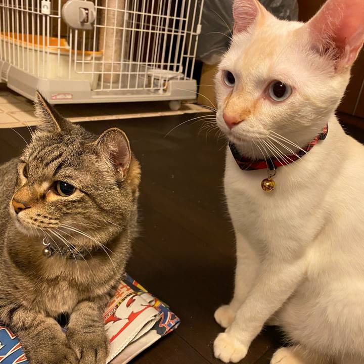 F5255621 869c 435f a09d 2944e9bb1df8 1595763322083