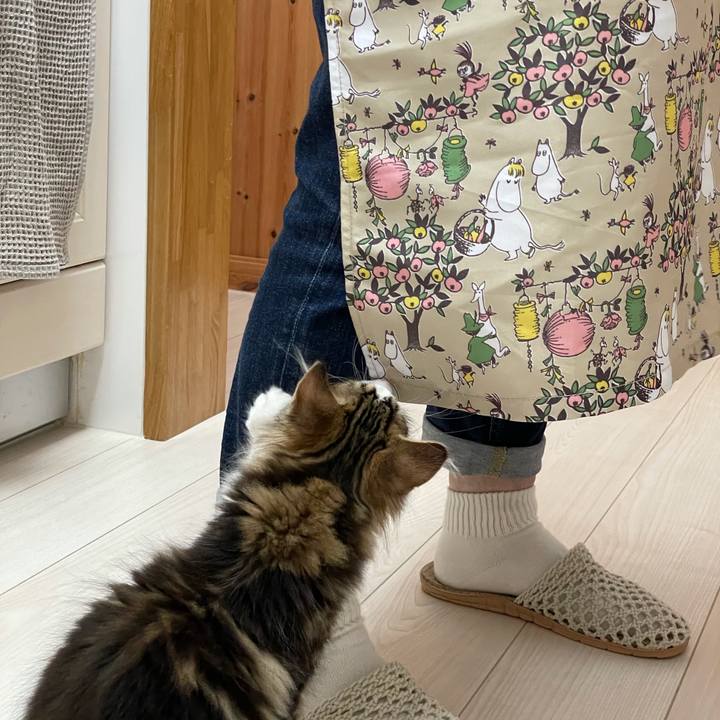 F52587d2 4346 4e5c ac72 e21f3640a0c5 1632642292971