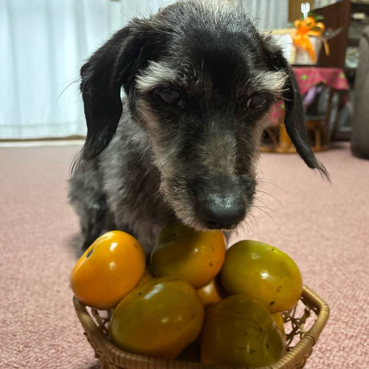 F525cc11 1b5f 4294 b74b 0ff5267e8d43 1761438854517