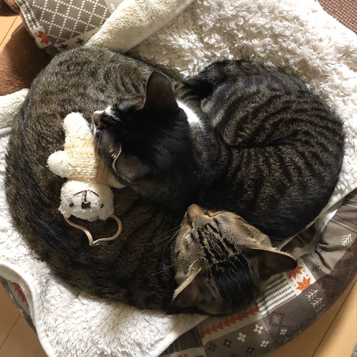 F525f836 767b 4ecd b7d5 70e5f670c2be 1514514188166