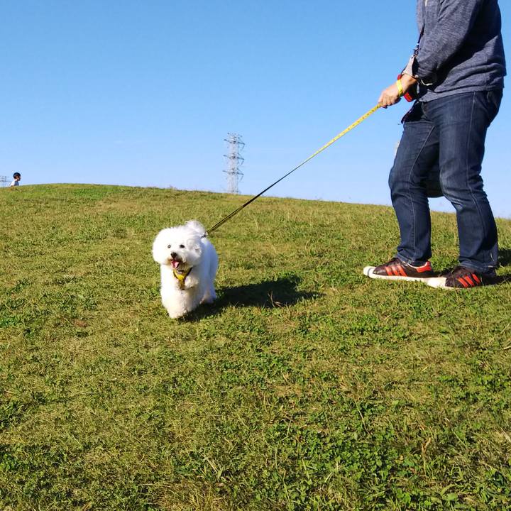 F5262573 2247 4617 b352 e5c1cf61157e 1509696311790