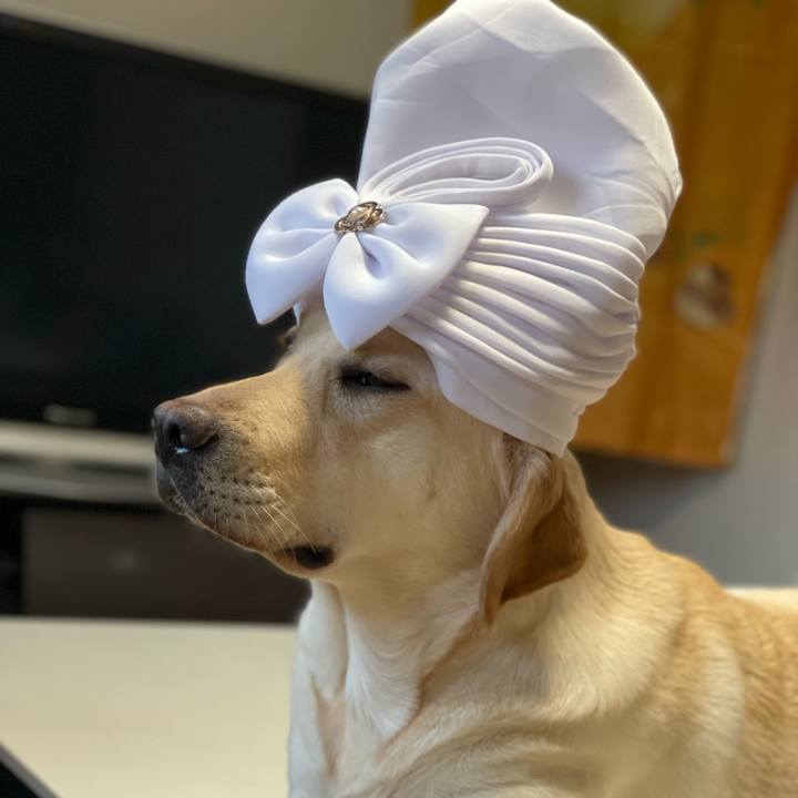 F5262659 4aff 43f9 b54f db922e1d9d9a 1650274932605