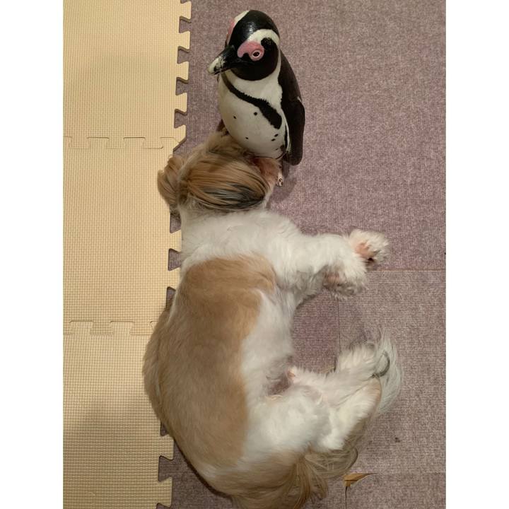 F5263131 67ed 4332 ab42 afe147299293 1630857438286