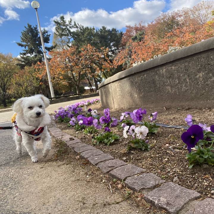 F52633cf 95b0 4d2c 96a6 cfcfc38c59c9 1700885757998